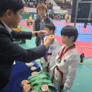 호매실숲태권도장 이미지