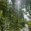 저녁 정리수납 이미지