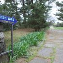 연동 관광안내소 이미지