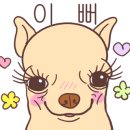 네일노니 이미지