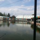 한샘청수낚시터 이미지