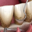 영양치과의원 이미지