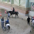 영천시운주산승마조련센터 경안일보
