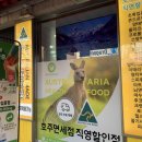 호주면세점 용산점