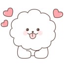 두두펫케어 이미지