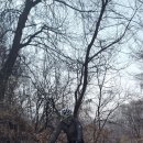 양수리 오리학교 이미지