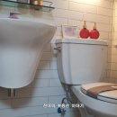 투민플러스 이미지