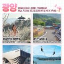 ✅ 광양매화마을 매화축제 ✅ 광양도선국사마을 ✅ 섬진강 별빛스카이 이미지