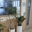 대구재활복지센터 이미지