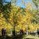 홍천리조텔 이미지