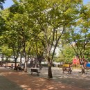 와우어린이공원 화장실 이미지