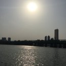 ྀི돌이켜보니 리락쿠마의 후예였다