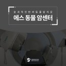 Be 동물병원 이미지