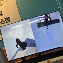 도토리플스 이미지