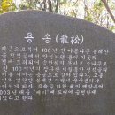 나로도바다 펜션 이미지