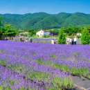 이랜드파크 켄싱턴리조트 지리산남원 이미지