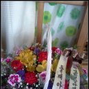 대명화훼유통 - 서구 매월4로 14 | 대명화훼유통