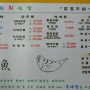 증도 우전리 팽나무 | 황홀한 다도해 일몰, 500년수령 남근 팽나무와 함께하는 왕바위식당 농어회/신안맛집
