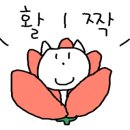 닥터오트커코리아 유한회사