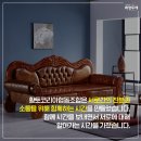 황토코리아협동조합 이미지