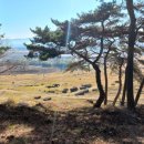 영광 대마 성산리 지석묘군 이미지