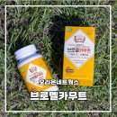 이룸바이오 | 단백질, 글루텐 분해엔 이거 하나 브로멜카무트 후기