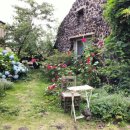 선흘1리보건진료소 이미지