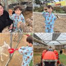 선들농장(1) | 용인 동물 체험농장 헤븐온어스 아이랑 놀거리 가득한 곳