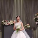 홀위드 | 위드브라이드 본식 드레스 어두운홀 후기(feat. 루이비스컨벤션 송파문정)