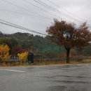 백봉이민진정려 이미지