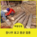 선표고농원