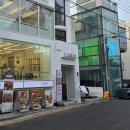 3485 | [서울/강남] 가로수길에서 받은 아이브로우 컨설팅 내돈내산 솔직후기 :: 엘크레