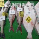 6월 2일, 자연산회(광어,참돔), 병어, 한치, 갑오징어, 민어, 서대, 밴댕이, 백조기, 간재미, 아귀, 풀치, 황석어...맛있게 이미지