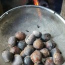 어부네농장 이미지