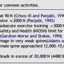 Spinal stabilization. part 1. biomechanics. Craig Liebensons DC 이미지