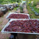 미소농장 이미지