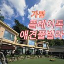 플렉스 풀빌라 | 🐶가평 플레이독 애견 풀빌라🐾 방문 솔직후기(내돈내산)