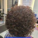 수원-0166 이미지