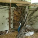 김용칠농장 이미지