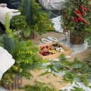 12/6 크리스마스 생화 트리 이미지