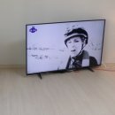 TV 벽걸이 or TV거실장이냐 고민입니다 이미지