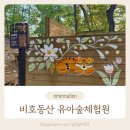 비호동산 아이와 단풍구경 모래놀이 네트놀이터 피크닉 잔디밭 다 있는 무료 유아숲체험원