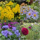 동행 | 동국제약 갱년기 극복 동행 캠페인 후기 가평 아침고요수목원