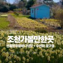 선흘방주할머니식당 조천 가볼 만한 곳 <b>선흘</b> <b>방주</b> <b>할머니</b> <b>식당</b>에서 수선화 꽃구경