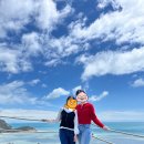 청산도봄 | 청산도&amp;완도 뚜벅이 여행 후기_완연한 봄을 만끽하려면