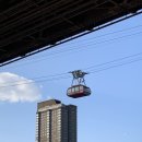 애플아일랜드 이미지