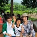 번암초등학교 이미지