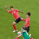 미운오리 이미지