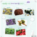 버블버블에코그린 이미지