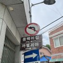포항삼부자네;어쩌다건어물 | [포항]여행 1박2일 가볼만한곳 짬뽕맛집 “짬홍” 동백꽃필무렵 촬영지 “까멜리아” 구룡포과메기...